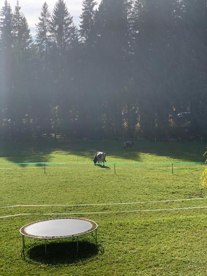 Birkenhof Apartman Leutasch Kültér fotó