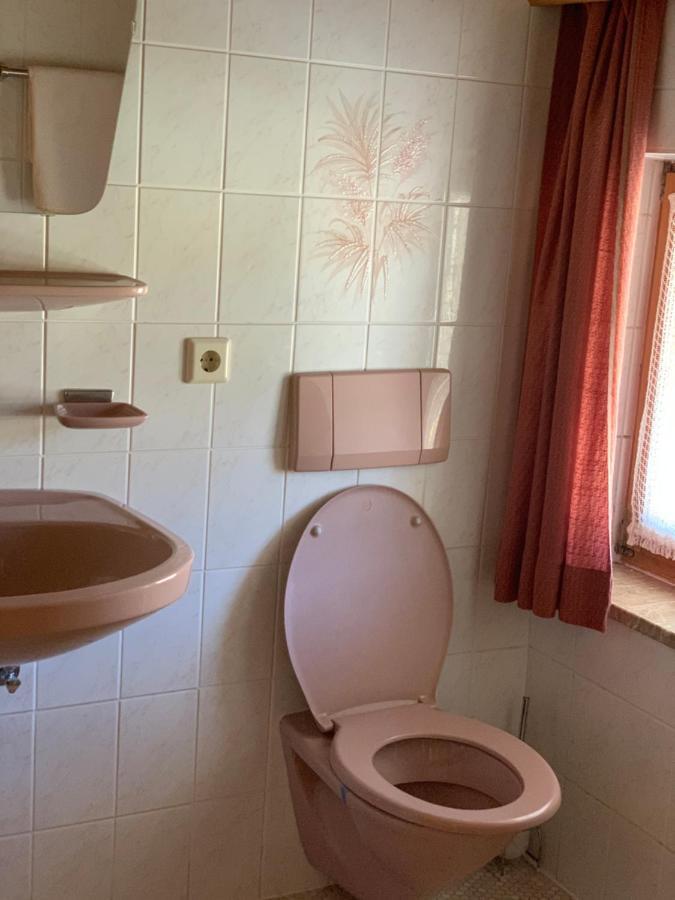 Birkenhof Apartman Leutasch Kültér fotó